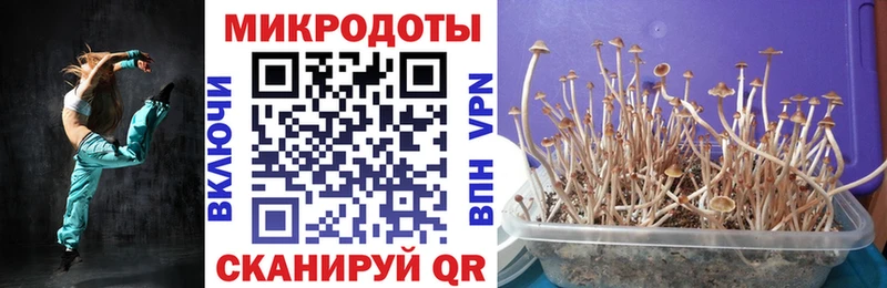 Галлюциногенные грибы Magic Shrooms  blacksprut вход  Николаевск 