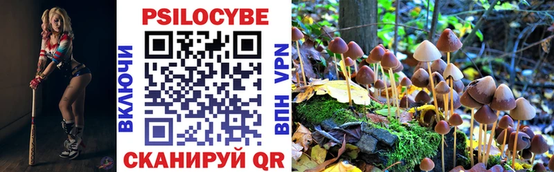 Псилоцибиновые грибы GOLDEN TEACHER Николаевск
