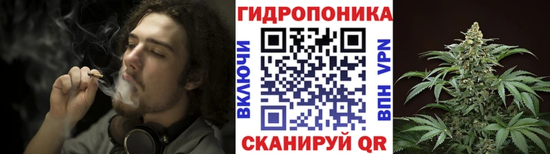 Шишки марихуана конопля  Николаевск 